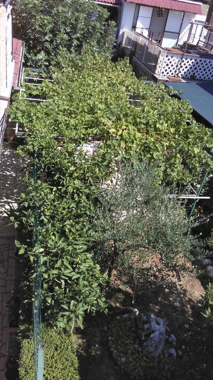Cinzia Apartmán
